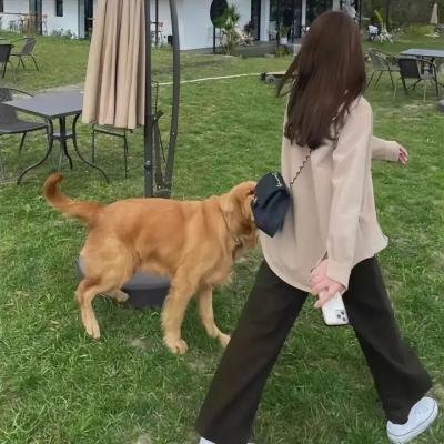 传教士
